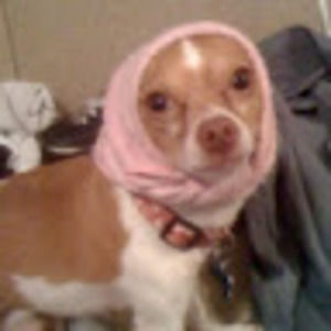 Meet your Posher, Becca